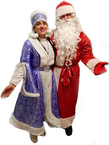 Дед Мороз на дом 2026